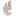 aesthetics.ae